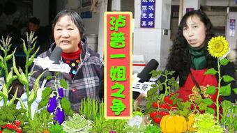 川普爆料最新动态新闻,揭秘政治内幕与惊人真相！”